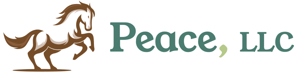 Peace LLC